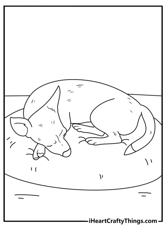 Chihuahua coloring page with a tiny dog curled up on a soft cushion