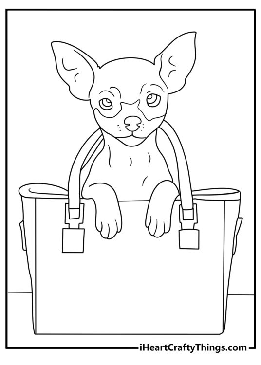 Chihuahua dog coloring pages scene with a pet in a carry bag