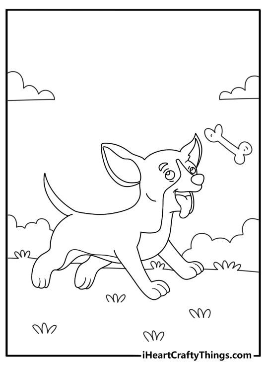 Chihuahua puppy coloring pages showing a young dog chasing a toy bone