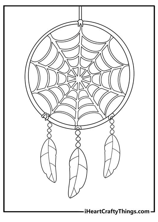 Coloring image for adults of a round dream catcher with a woven spider web and two feathers