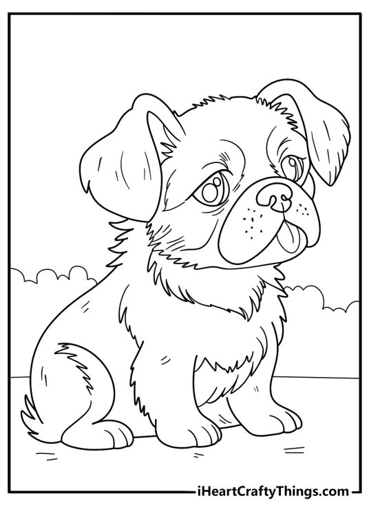 Coloring image of an adorable puppy with fluffy patch of fur on chest and tongue sticking out of the mouth