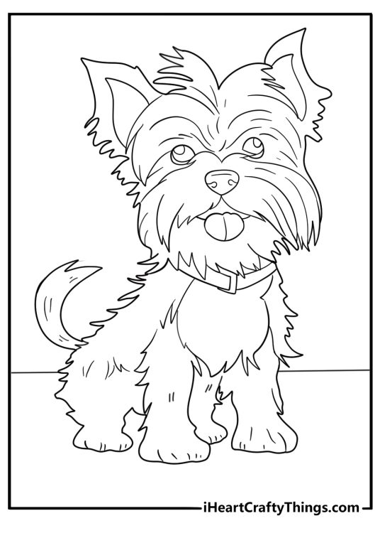Coloring page featuring Yorkshire Terrier puppy with pointy ears and tongue sticking out of the mouth
