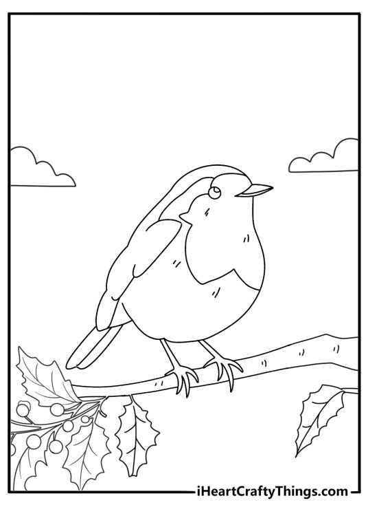 Coloring page of a robin searching for berries on winter bush