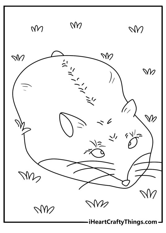 Coloring pdf featuring hamster with a pair of very detailed eyes lying on the ground