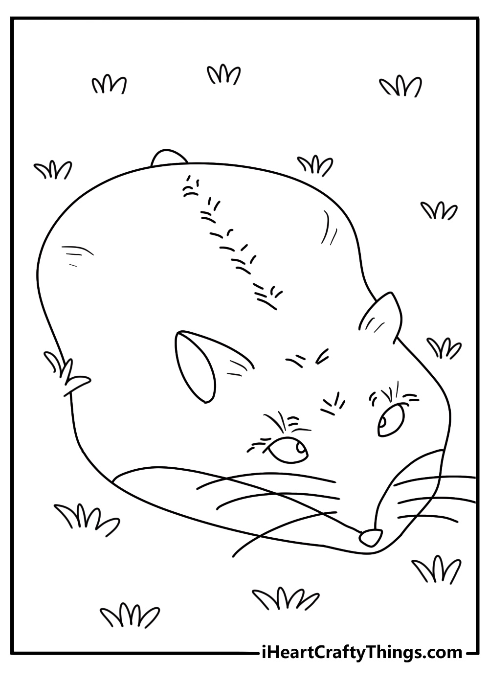 Coloring pdf featuring hamster with a pair of very detailed eyes lying on the ground