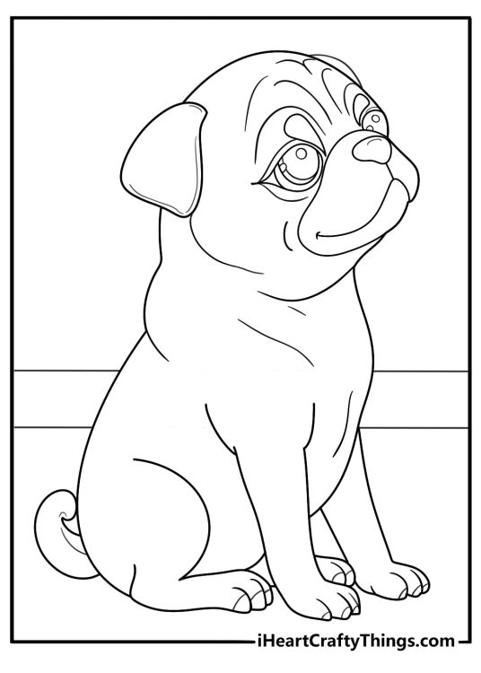 Coloring picture presenting little pug puppy sitting up straight turned to the side