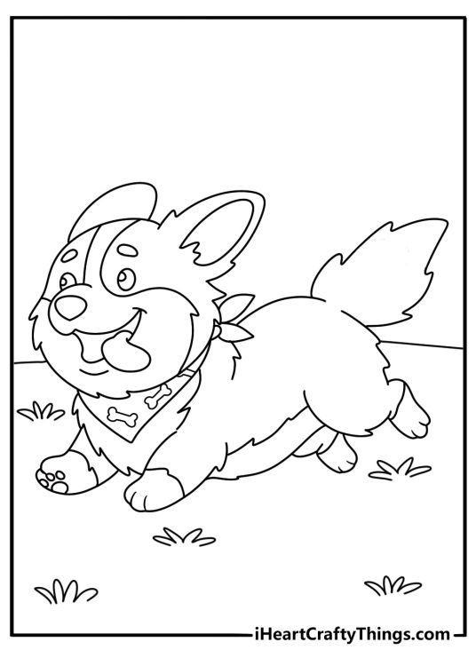 Coloring sheet to print of a Corgi heading somewhere at full speed with a tongue sticking out