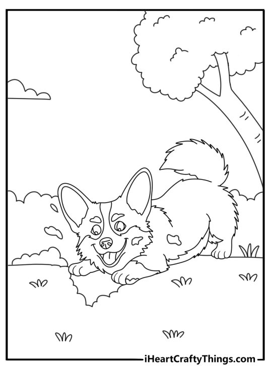 Corgi coloring page for kids with a corgi digging in a garden