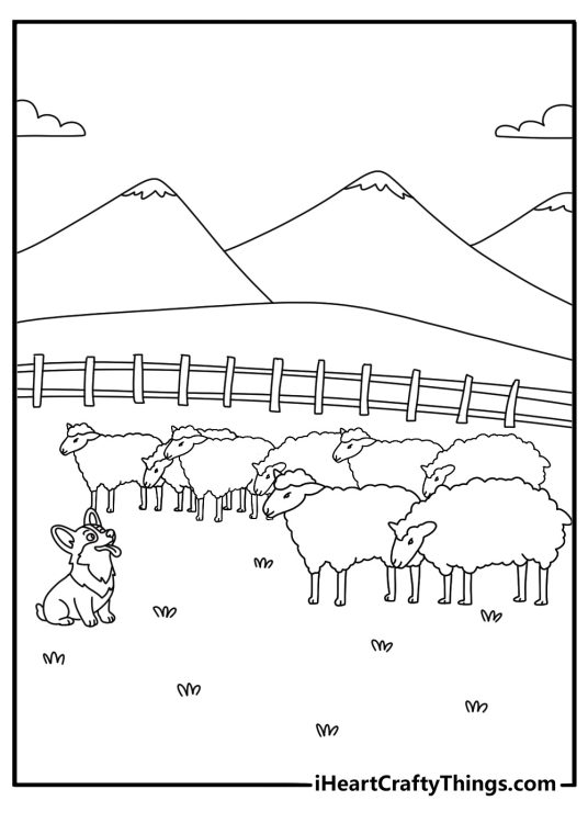Corgi coloring page with a corgi herding sheep on a farm