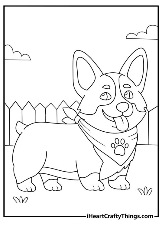 Corgi coloring printable with a corgi wearing a bandana near a fence