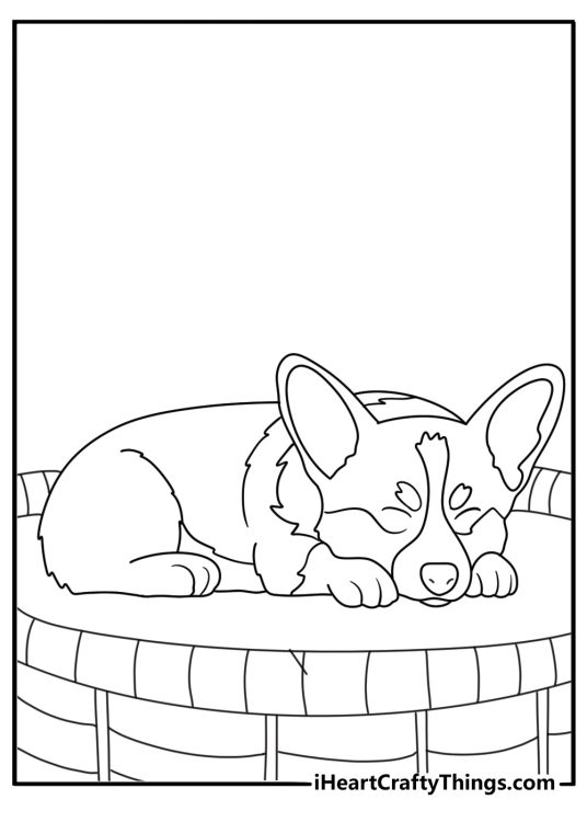 Corgi coloring sheet with a corgi sleeping in a dog bed