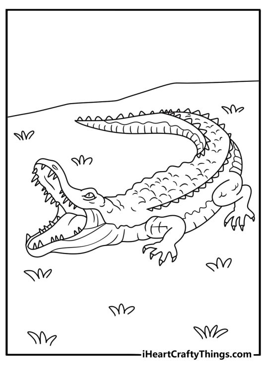 Crocodile coloring page printable with an open mouth showing sharp teeth