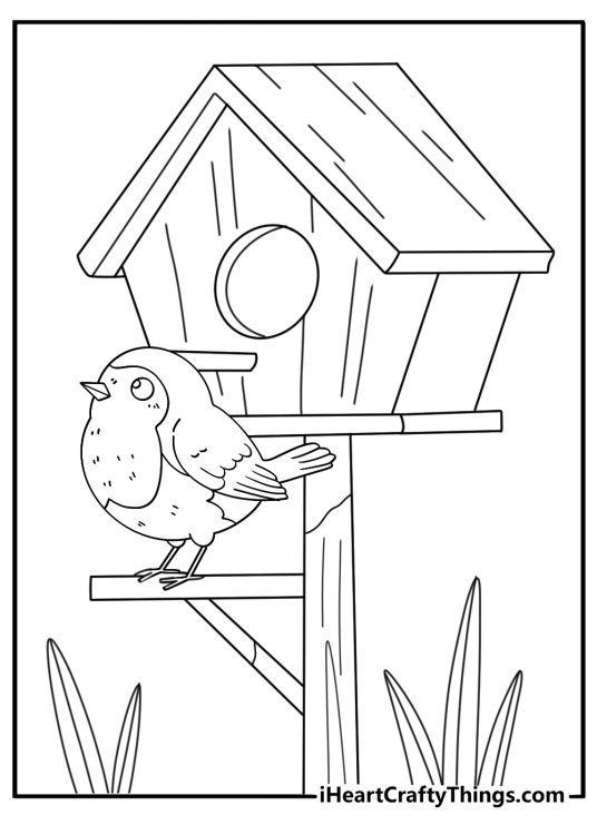 Cute kawaii robin coloring sheet inside wooden birdhouse
