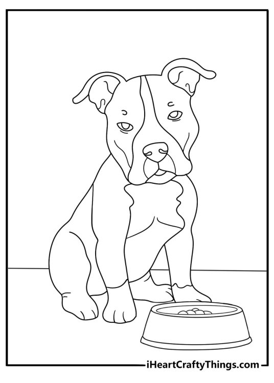 Cute pitbull coloring page with a puppy beside a food bowl