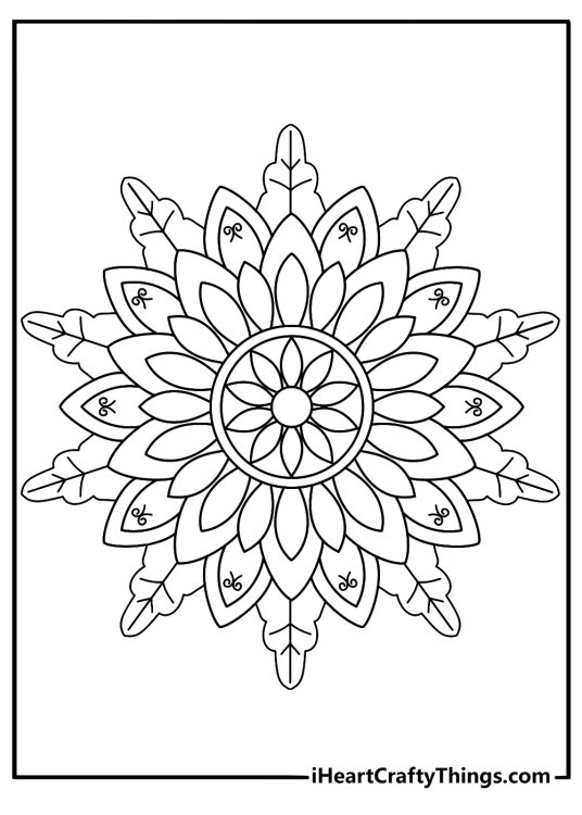 Daisy mandala pattern coloring page detailed for adults pdf