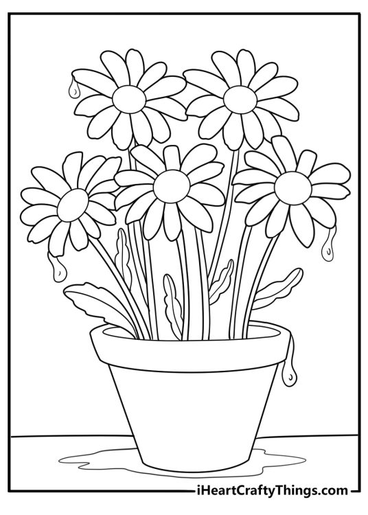 Daisy with raindrops after spring rain coloring sheet simple