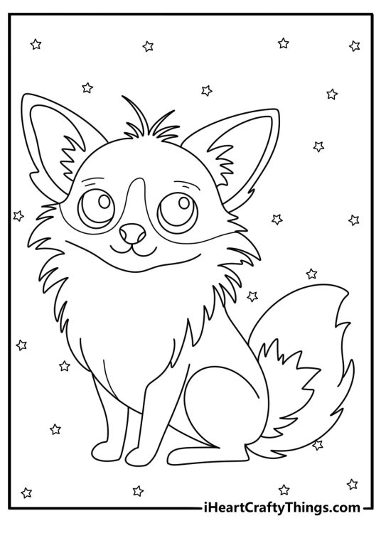 Detailed Chihuahua coloring pages for adults with long fur and patterned background