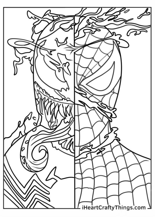 Detailed Spider-Man And Venom Coloring For Adults