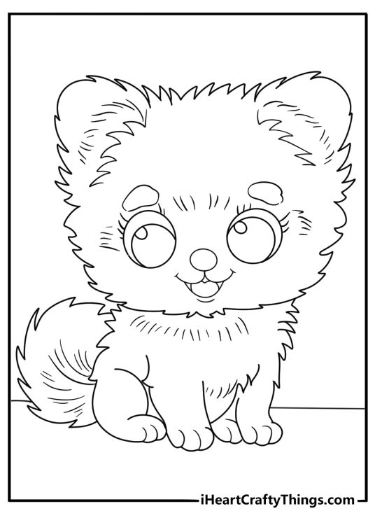 Detailed coloring drawing for children presenting extremely fluffy Pomeranian puppy