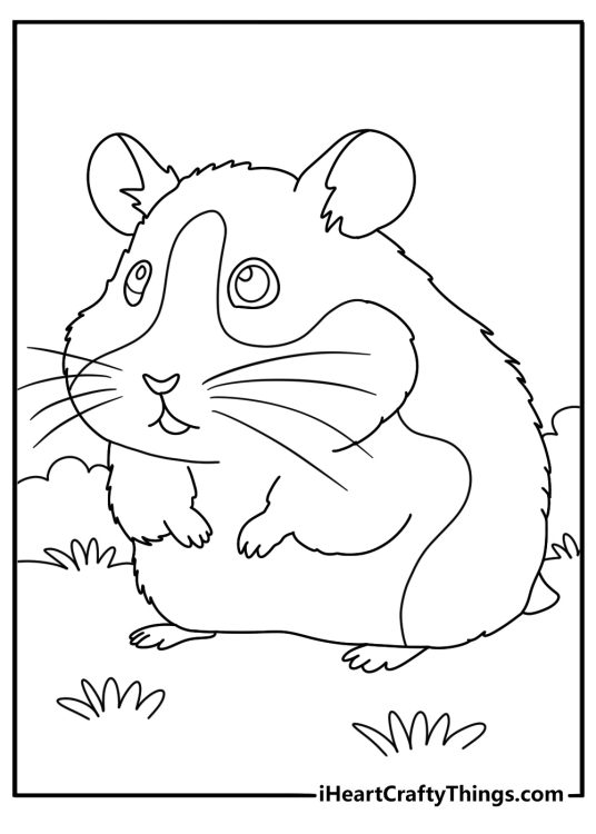 Detailed coloring picture featuring friendly hamster with wide smile and big teeth posing outdoors