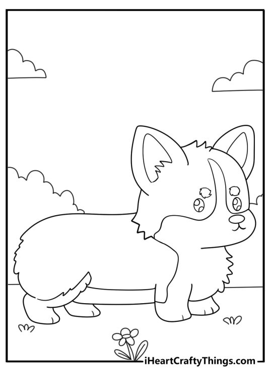 Detailed coloring picture for kids featuring Corgi breed puppy stretching his short legs