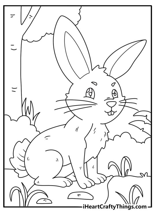 Detailed coloring printable for kids featuring realistic rabbit sitting on the forest path