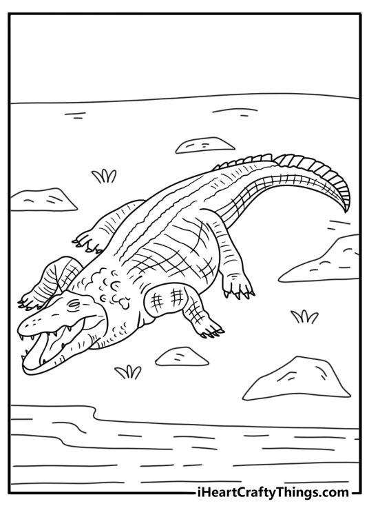 Detailed crocodile coloring sheet with heavy scales and clawed feet