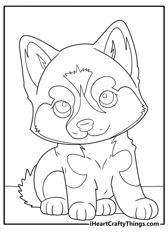 Detailed drawing of a cute husky puppy with thick fur coat and tonque sticking out of the mouth