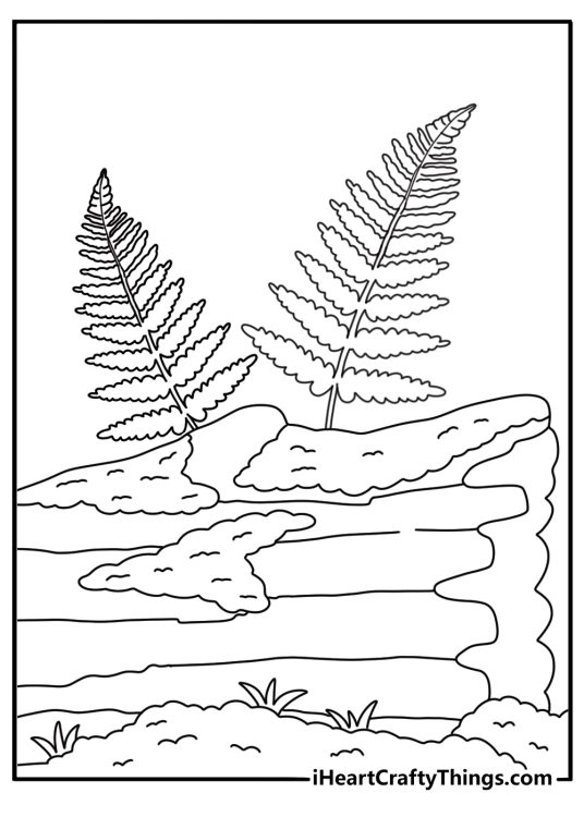 Detailed forest coloring pages for adults with ferns and fallen logs