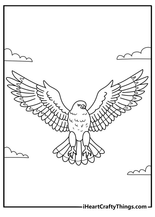 Detailed hawk coloring sheet for adults with layered wing feather patterns