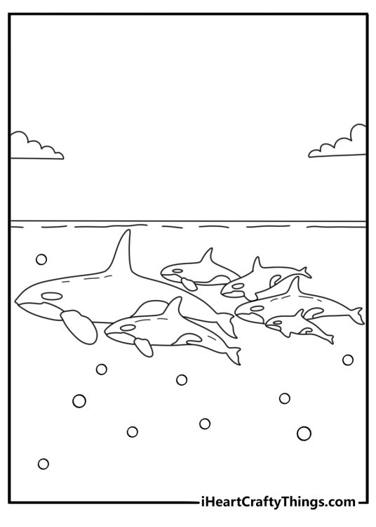 Detailed killer whale coloring sheet with an orca family in cold water