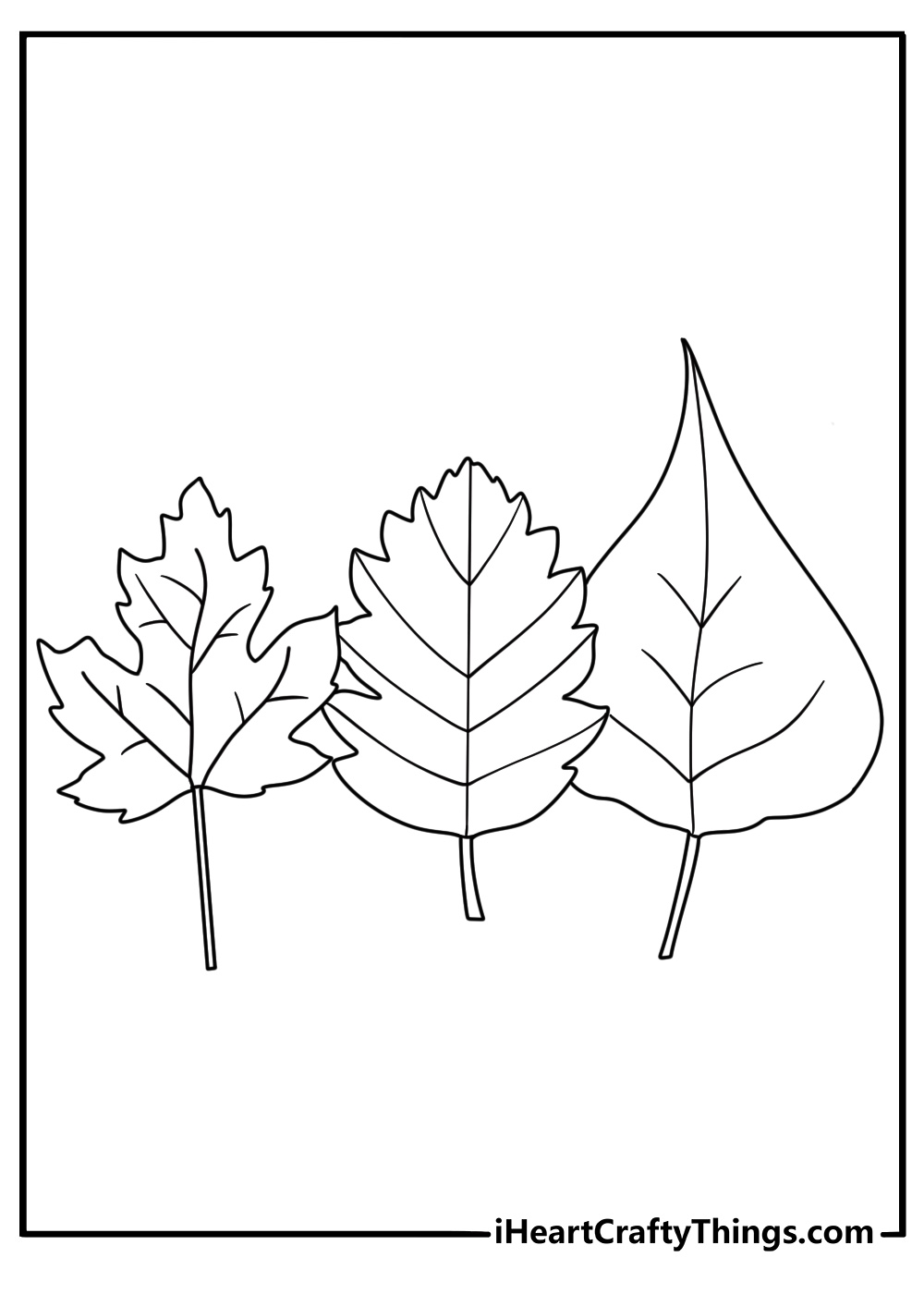Detailed leaf coloring page with a row of different tree leaves