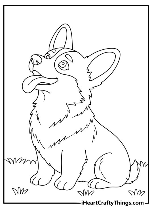 Detailed printable of a joyful Corgi sitting on the grass and looking up with a tongue sticking out