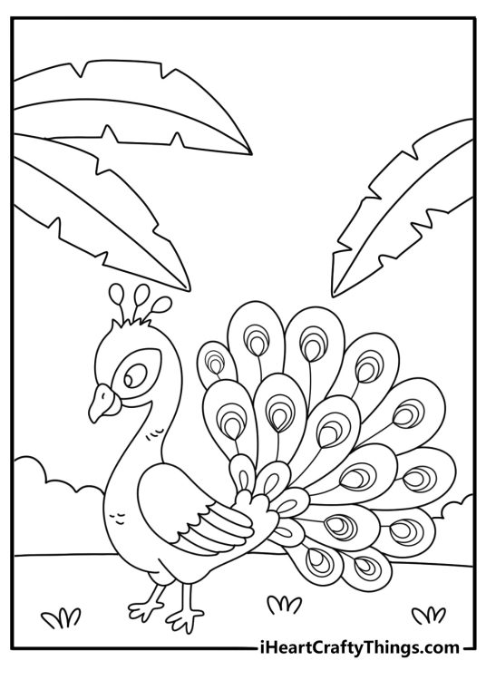 Detailed printable peacock coloring page with bird under tropical palm leaves