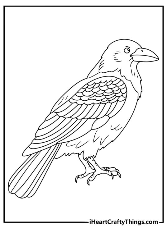 Detailed raven coloring sheet for adults with feather patterns inside a raven shape
