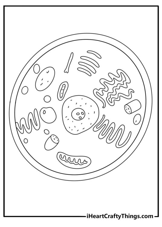 Detailed science coloring sheet for adults with a cell diagram and organelles