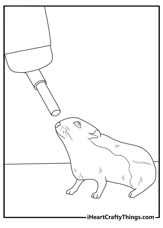 Dwarf hamster near water bottle in cage coloring sheet for kids