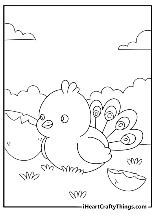 Easy coloring sheet with baby peacock near cracked eggshell