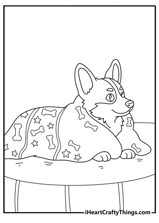 Easy corgi coloring page with a corgi wrapped in a cozy blanket