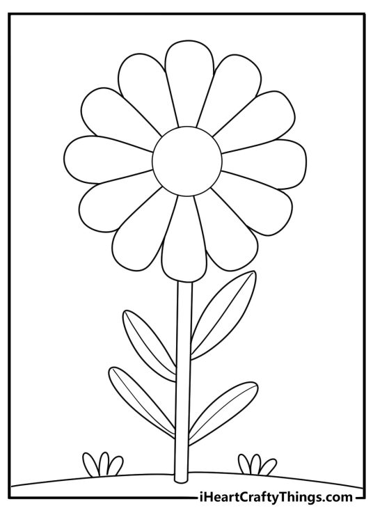 Easy daisy coloring page for kids with bold outlines