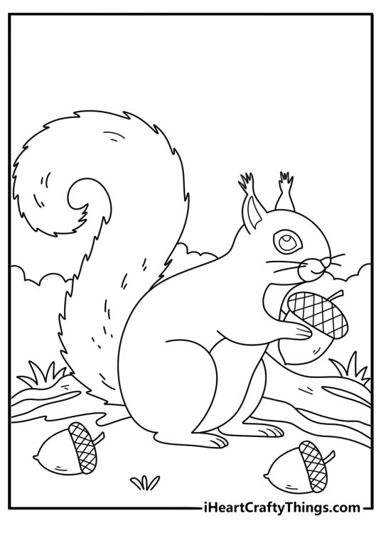 Easy forest coloring pages showing squirrel collecting acorns near roots