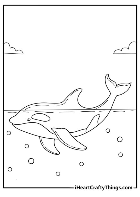 Easy killer whale coloring page with an orca dorsal fin cutting through waves