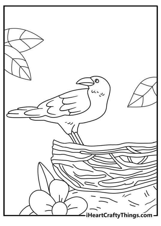 Easy raven coloring page with a raven nest high in a tree