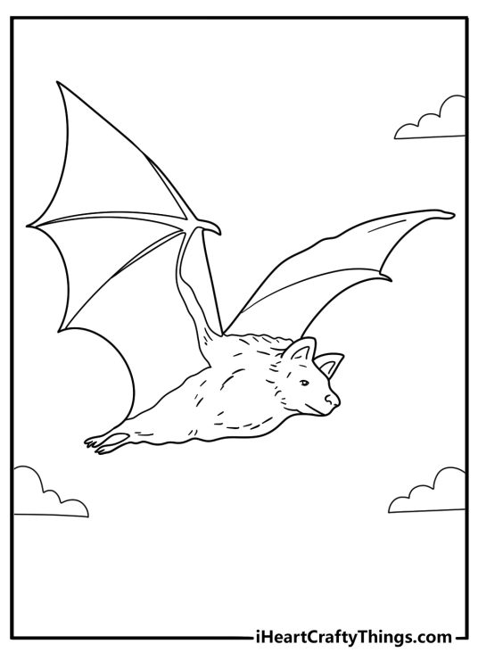 Flying fox fruit bat coloring page nibbling mango easy printable