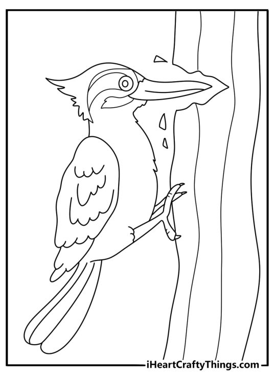 Forest coloring page free with woodpecker tapping on bark