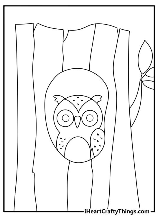 Forest coloring page with owl perched on a hollow tree trunk at night