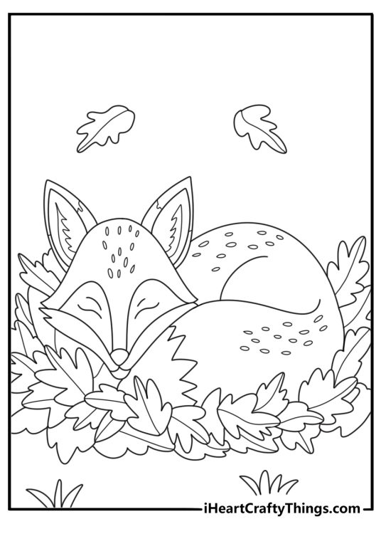 Forest coloring pages for kids showing fox curled inside a leafy den