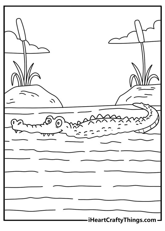Free crocodile coloring sheet of a reptile swimming through reeds