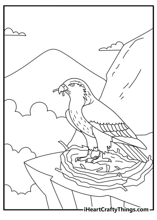 Free hawk printable with a nest built high on a rocky cliff