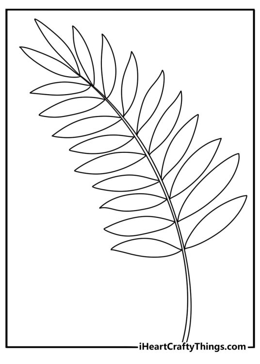 Free leaf printable of a fern frond with many tiny leaflets